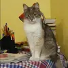 Отзыв от Алла Кузнецова